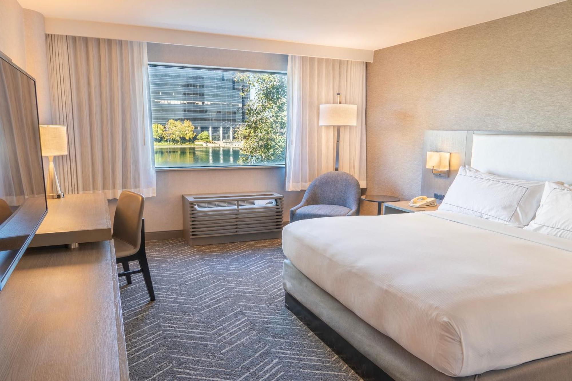 Standard King Room Lake View